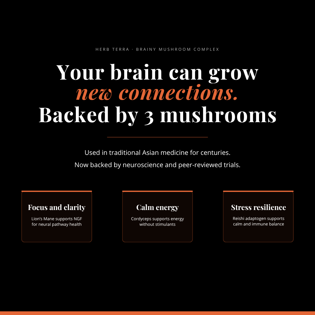 Brainy Mushroom | Reishi, Lion’s Mane, Cordyceps | 120 Capsules