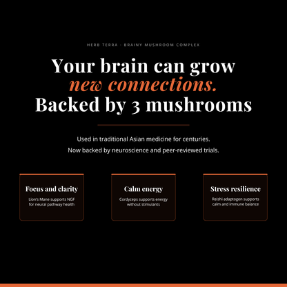 Brainy Mushroom | Reishi, Lion’s Mane, Cordyceps | 120 Capsules