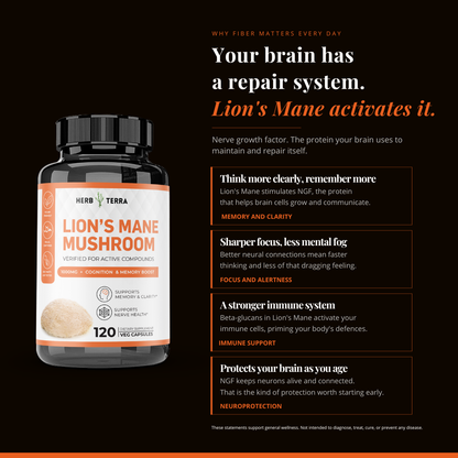 Lion’s Mane Mushroom Cognition | Brain Clarity | 120 Capsules