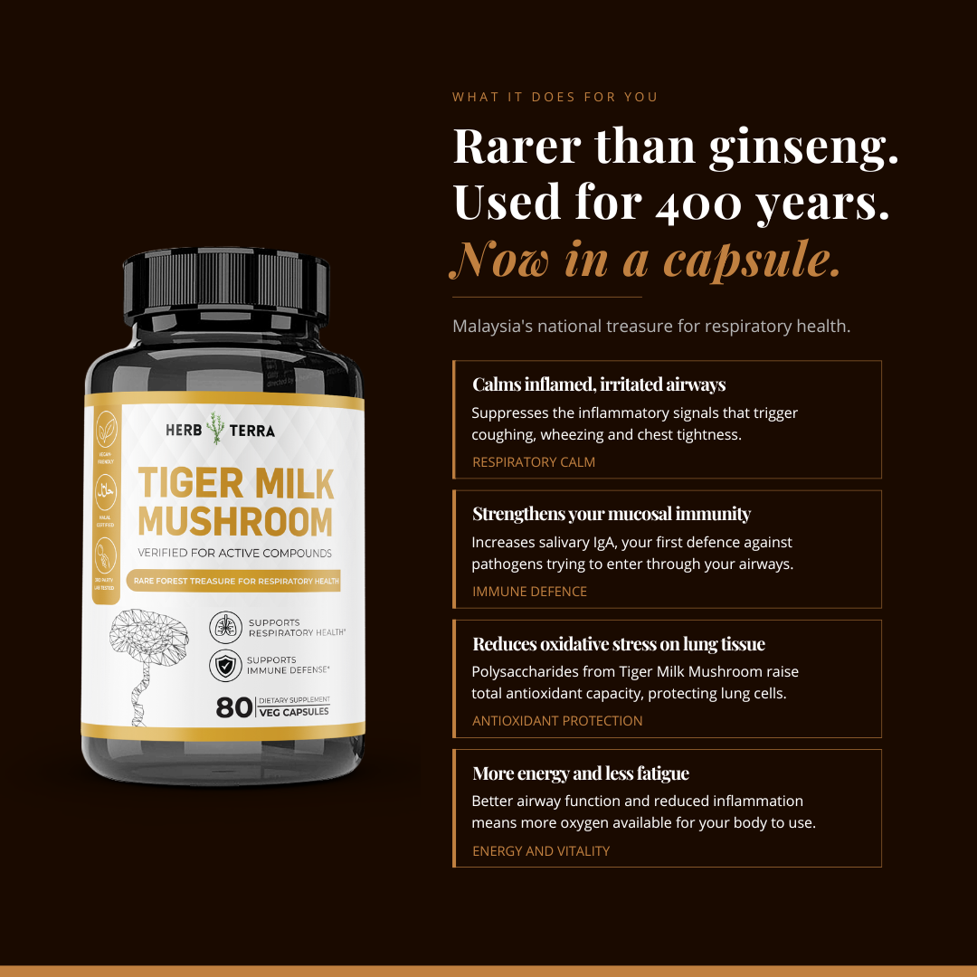 Tiger Milk Mushroom 虎乳芝 | 80 Capsules | (Lignosus Rhino)