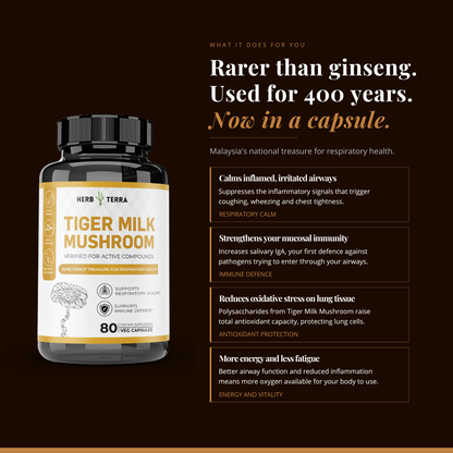 Tiger Milk Mushroom 虎乳芝 | 80 Capsules | (Lignosus Rhino)
