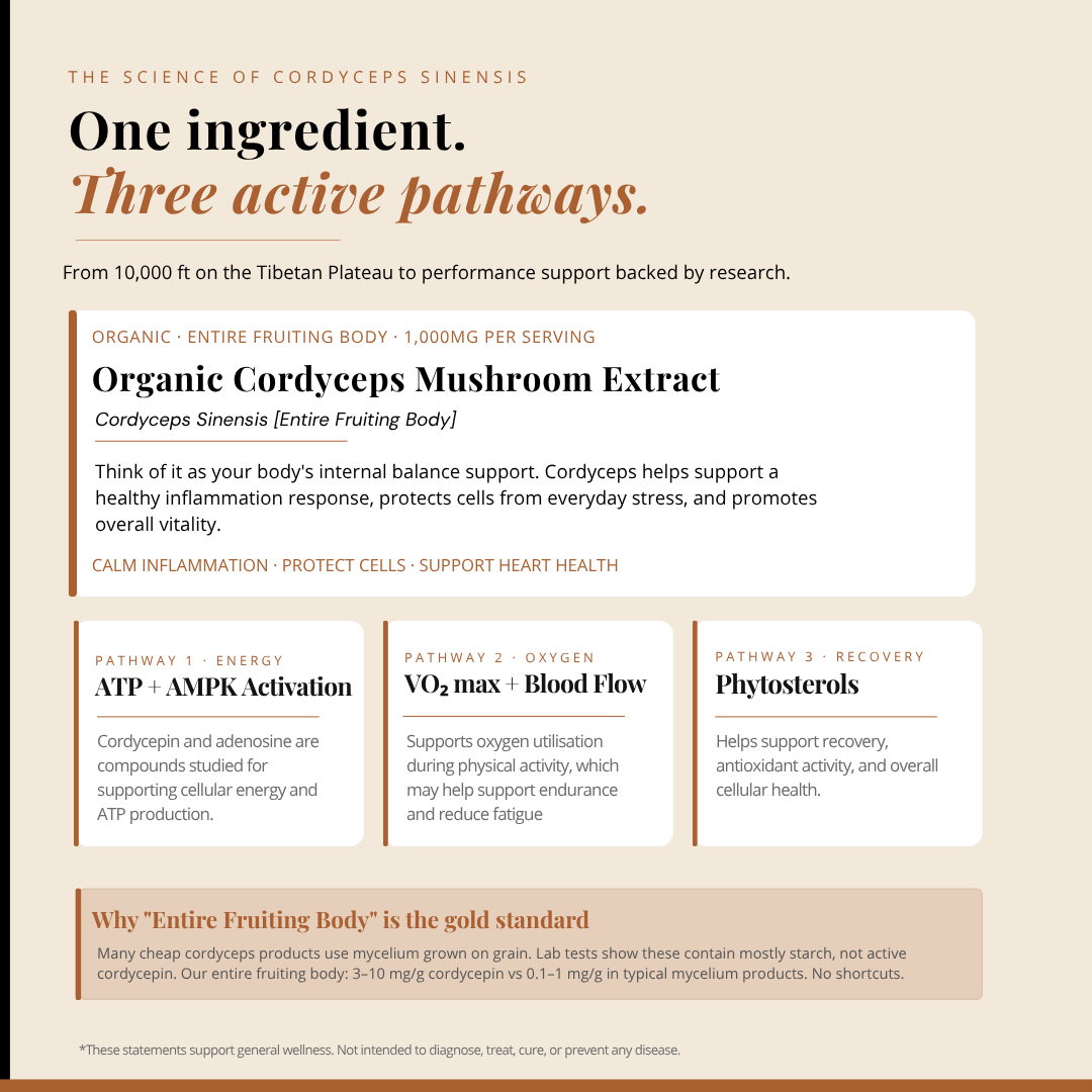Organic Cordyceps Sinensis 1000mg Capsules 虫草 | 120 Capsules