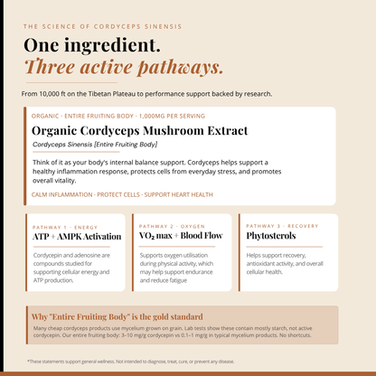 Organic Cordyceps Sinensis 1000mg Capsules 虫草 | 120 Capsules