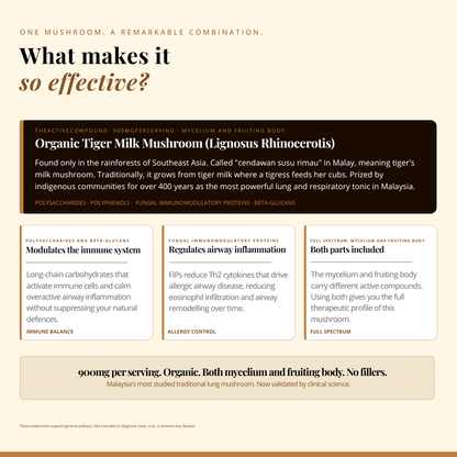 Tiger Milk Mushroom 虎乳芝 | 80 Capsules | (Lignosus Rhino)