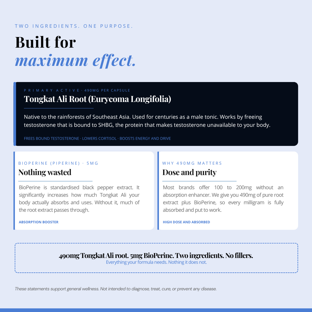 Tongkat Ali Root Extract | 120 Capsules | Natural Hormonal Support