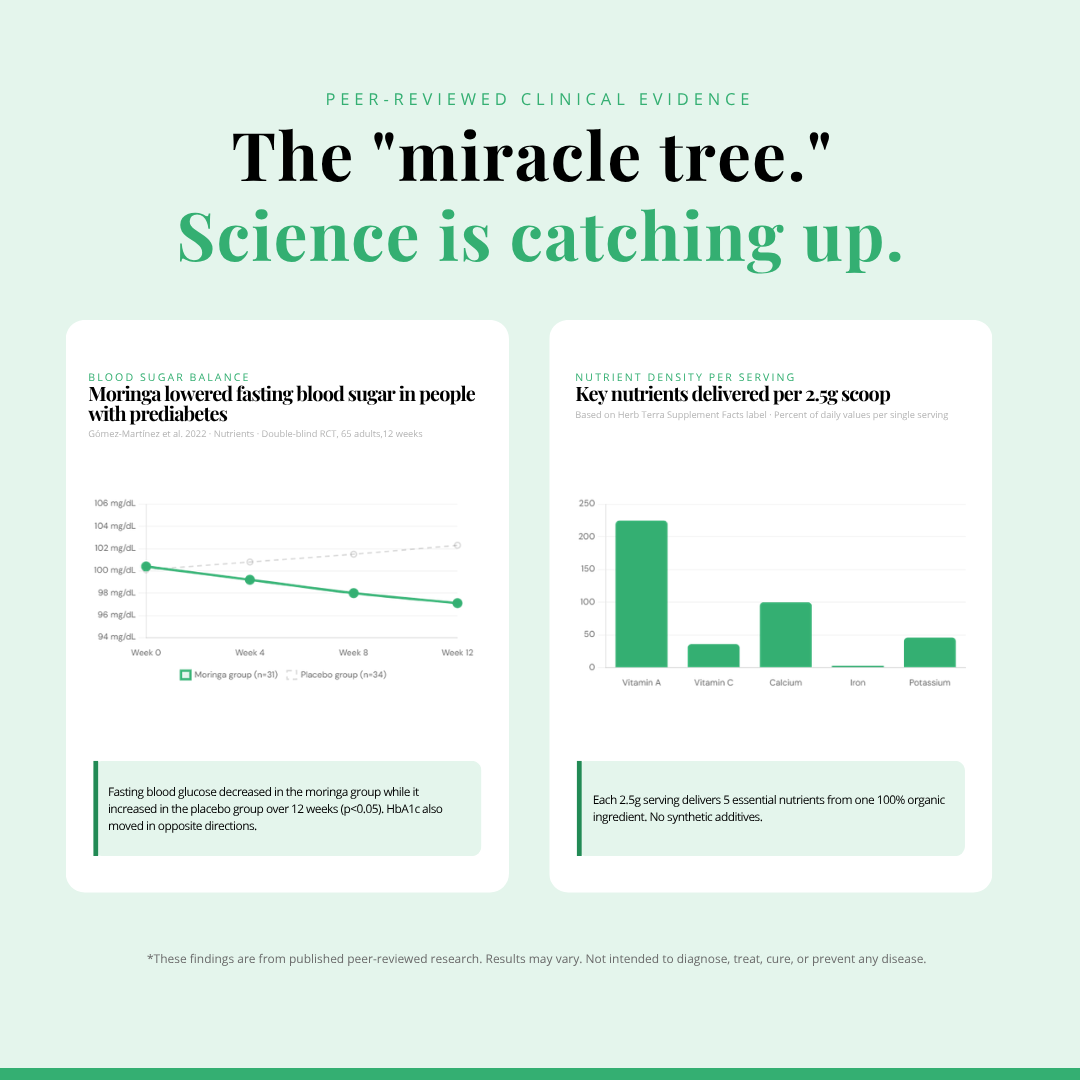 Organic Moringa Leaf Powder 100g | Ultimate Superfood