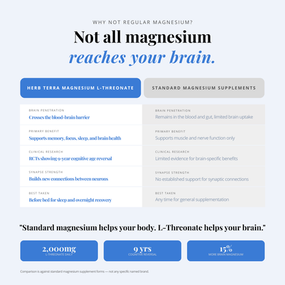Magnesium L-Threonate, 90 Veg Capsules