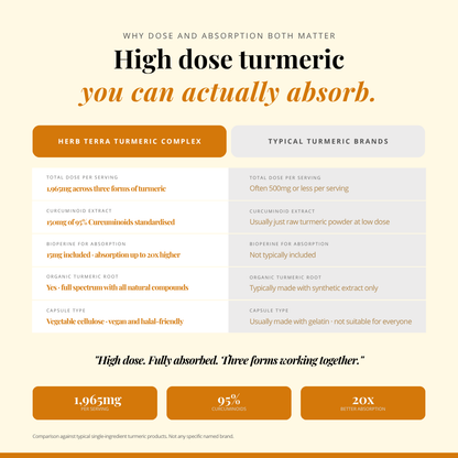 [Bundle of 3] Herb Terra Turmeric Curcumin  - Joint, Inflammation & Antioxidant Support (3 x 120 capsules)
