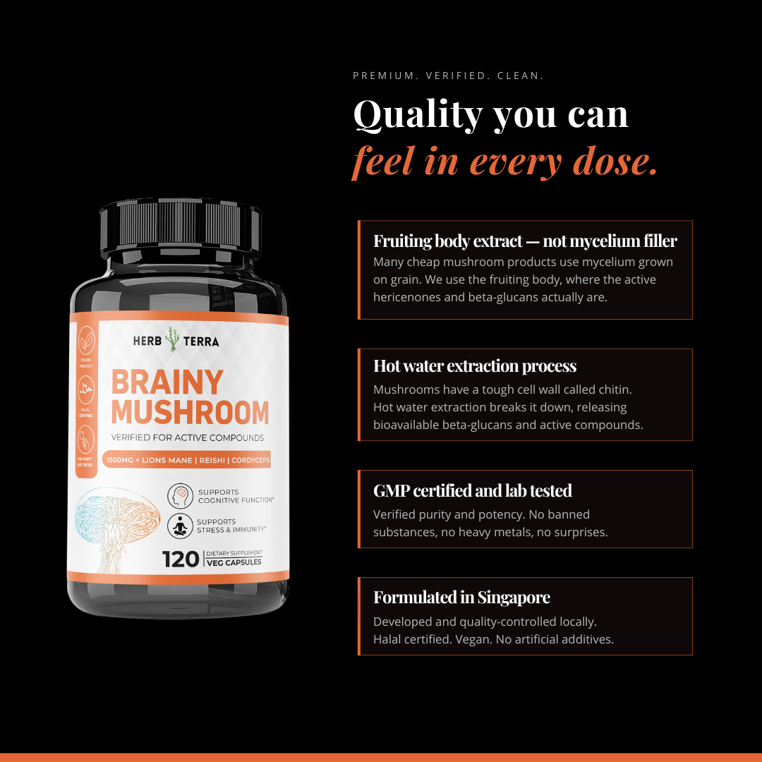 Brainy Mushroom | Reishi, Lion’s Mane, Cordyceps | 120 Capsules