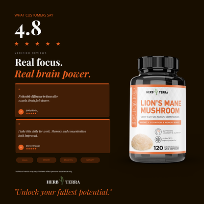Lion’s Mane Mushroom Cognition | Brain Clarity | 120 Capsules
