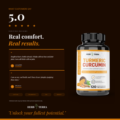 [Bundle of 3] Herb Terra Turmeric Curcumin  - Joint, Inflammation & Antioxidant Support (3 x 120 capsules)