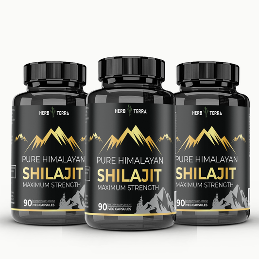 [Bundle of 3] Herb Terra Shilajit  2000mg - Vitality, Stamina & Immune Support (3 x 90 capsules)