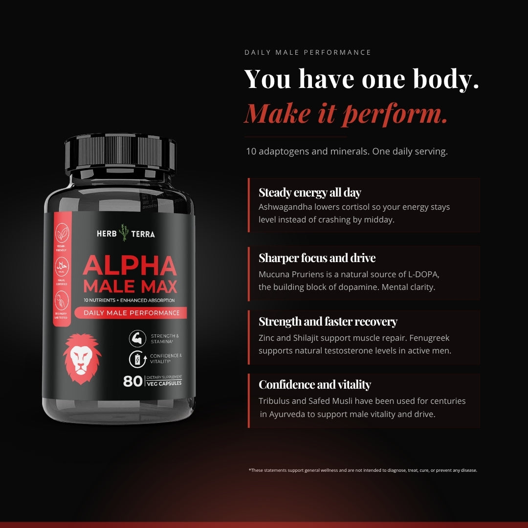 [Bundle of 3] Herb Terra Alpha Male Max  - Energy, Strength, & Performance Support (3 x 80 capsules)