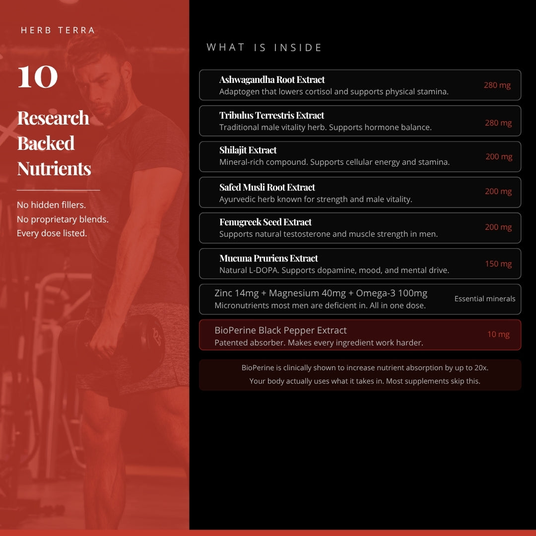 Alpha Male Max | 80 Capsules | Elite Performance Complex