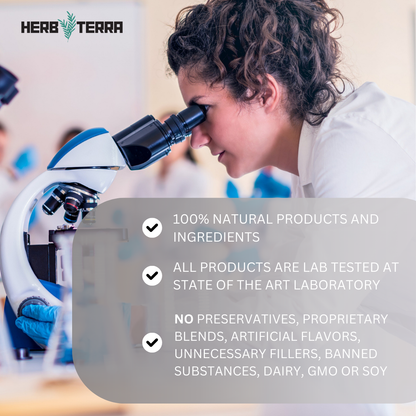 [Bundle of 3] Herb Terra Alpha Male Max  - Energy, Strength, & Performance Support (3 x 80 capsules)