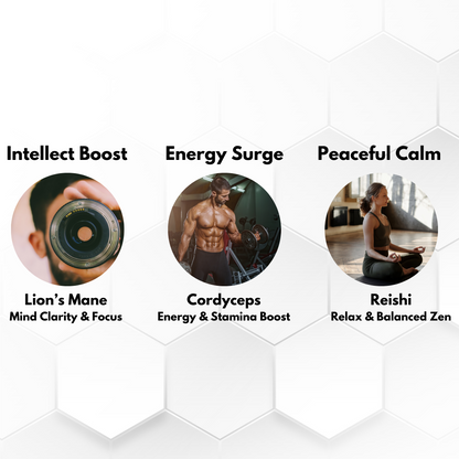 Brainy Mushroom | Reishi, Lion’s Mane, Cordyceps | 120 Capsules