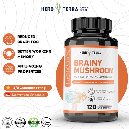 Brain Boost Bundle Set