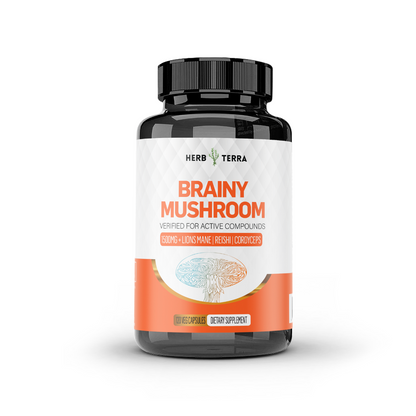 Herb Terra Brainy Mushroom supplement bottle on a white background