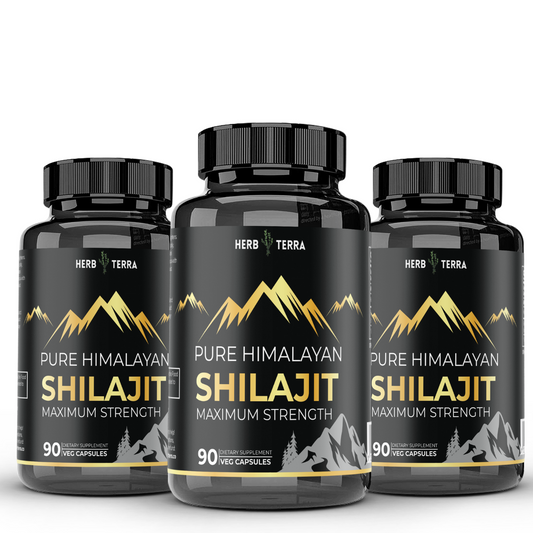 [Bundle of 3] Herb Terra Shilajit  2000mg - Vitality, Stamina & Immune Support (3 x 90 capsules)