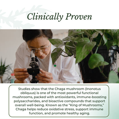 Chaga Mushroom Drops
