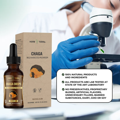 Chaga Mushroom Drops