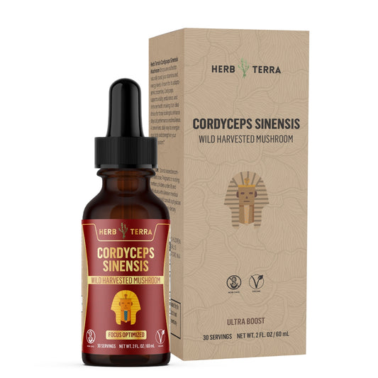 Cordyceps Mushroom Drops