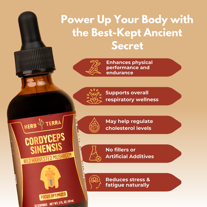 Cordyceps Sinensis bottle.| Herb Terra

