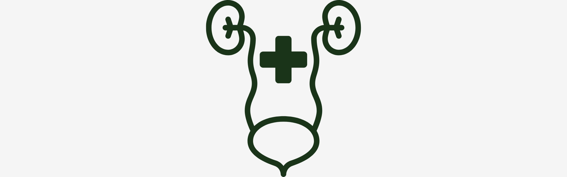 Decorative green logo with a cross on a white background