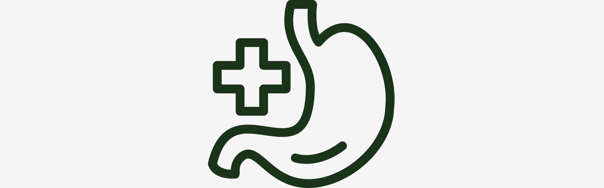 Stomach with plus sign icon on white background | Herb terra
