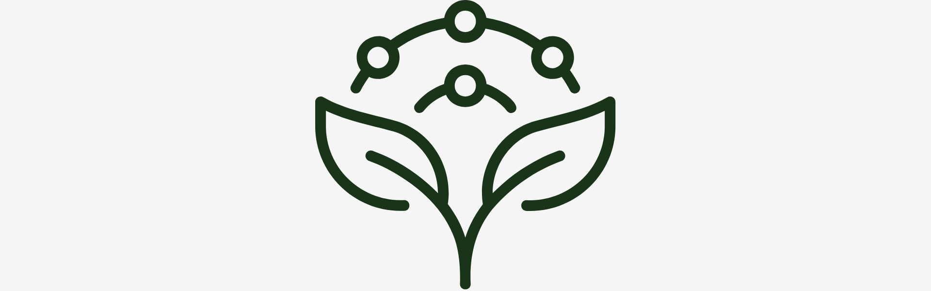 Green icon of a leaf with interconnected dots on a white background