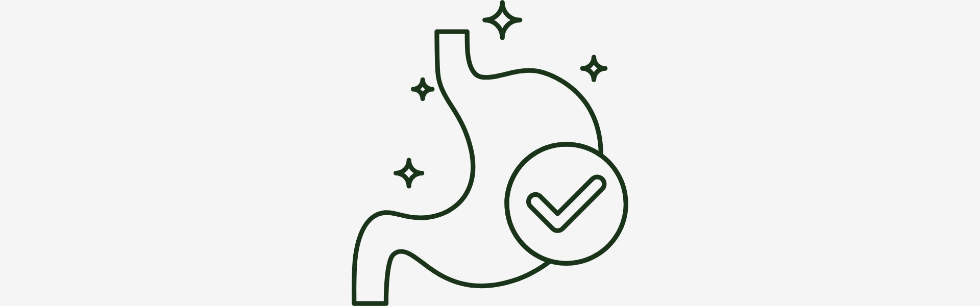 Outline of a stomach with a check mark inside, on a white background