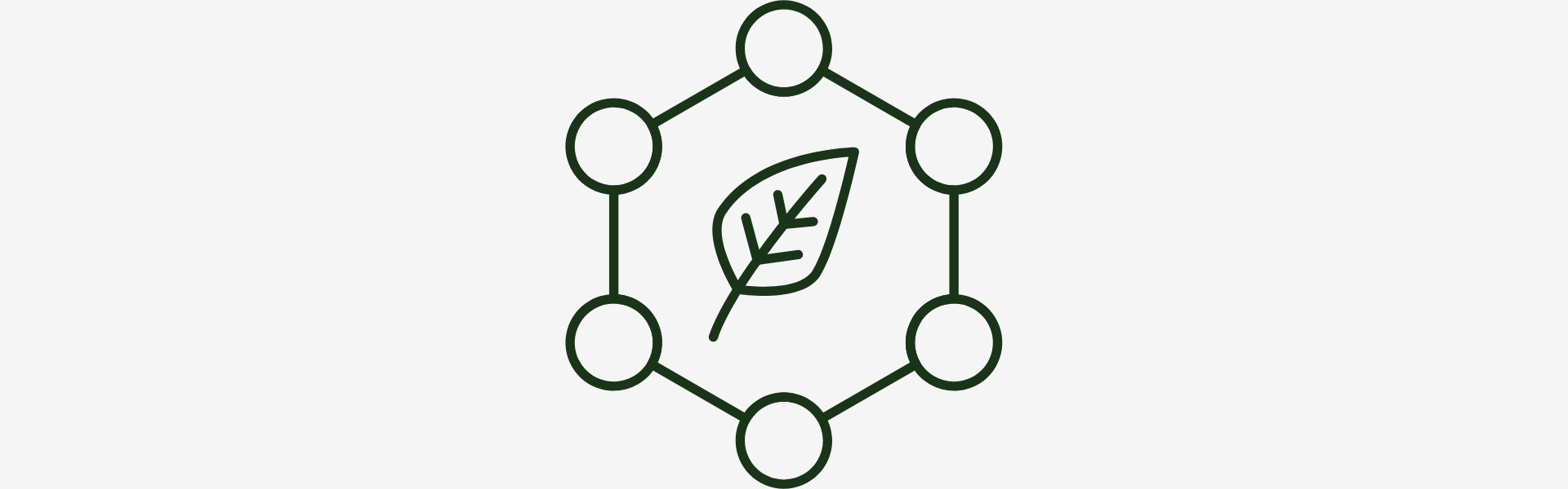 Icon of a leaf within a hexagonal network on a white background