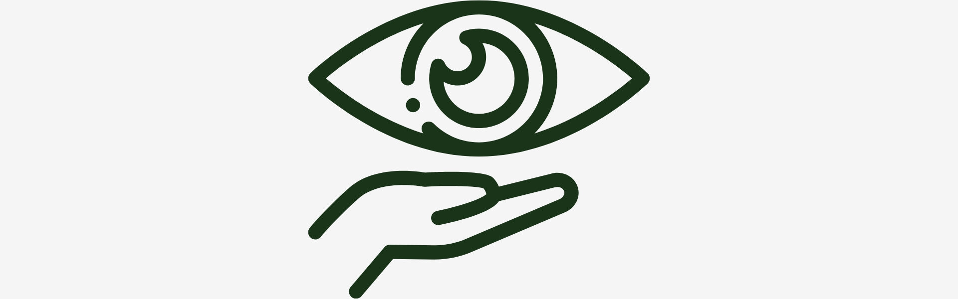 Icon of an eye and a hand with a green outline on a white background