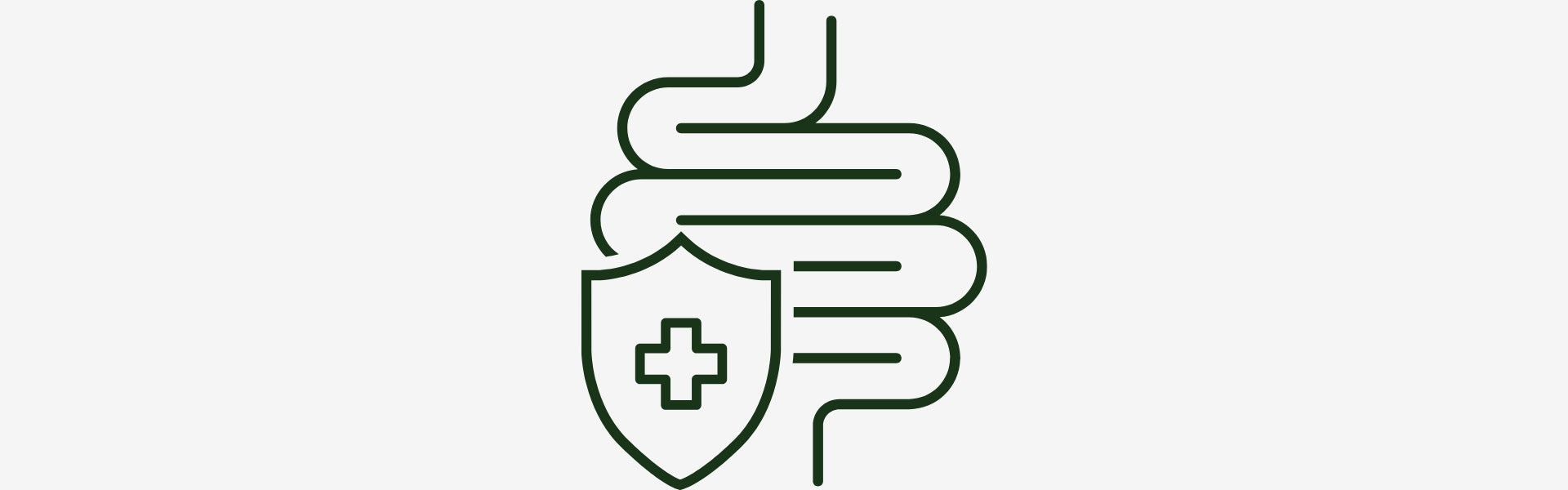 Line art of a肠道 with a shield and plus sign on a white background