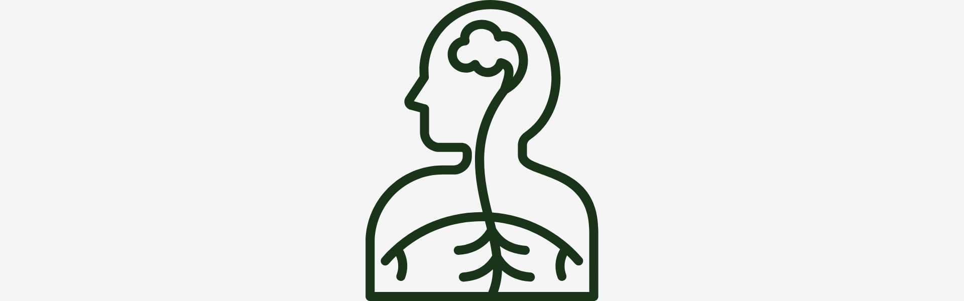 **Human figure line art with lungs & brain | Herb Terra**