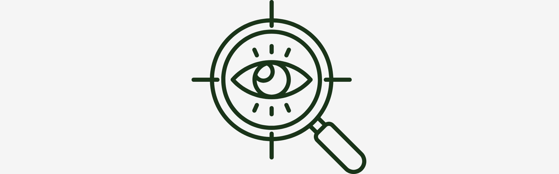 Icon of a magnifying glass with an eye in the center on a white background