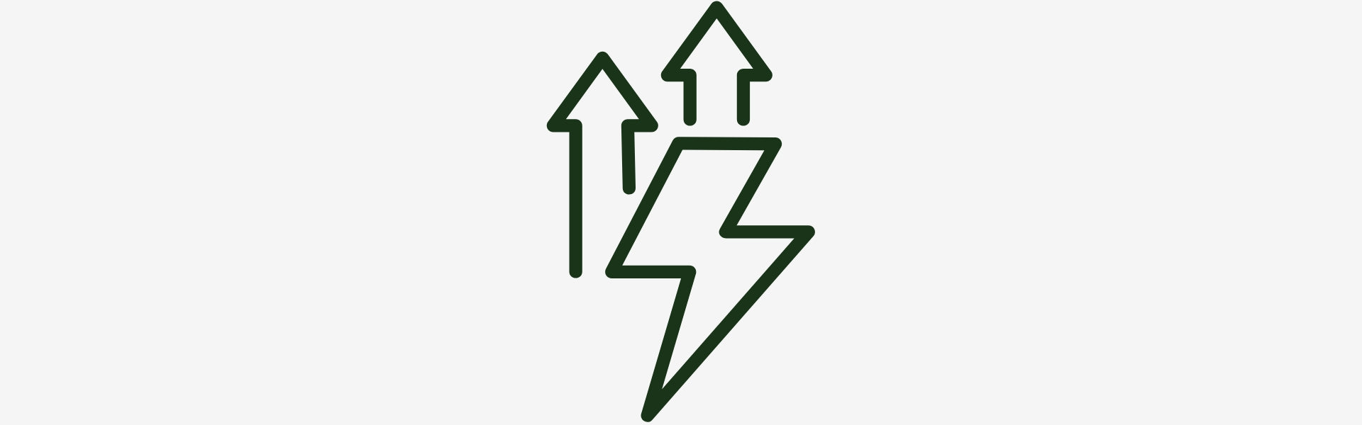 Icon of a lightning bolt with two upward arrows on a white background. | Herb terra