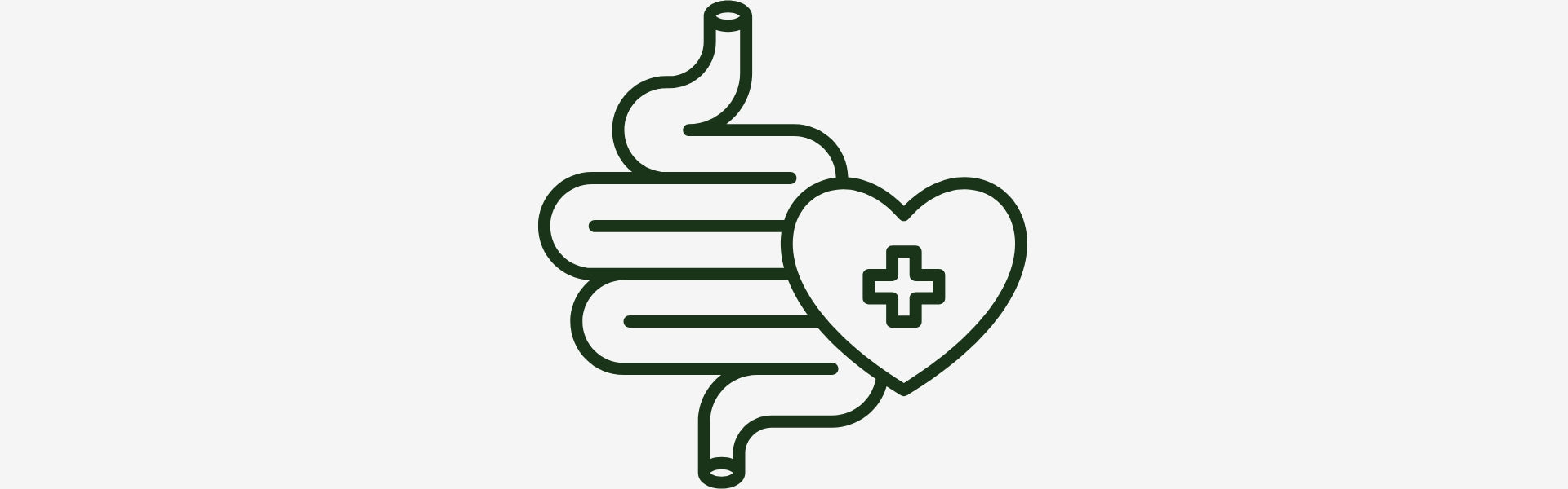 Outline of a stomach with a heart and cross symbol on a white background