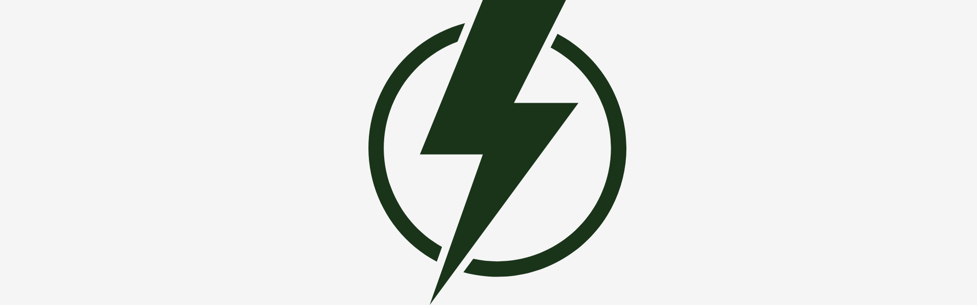 Green lightning bolt icon on white | Herb Terra