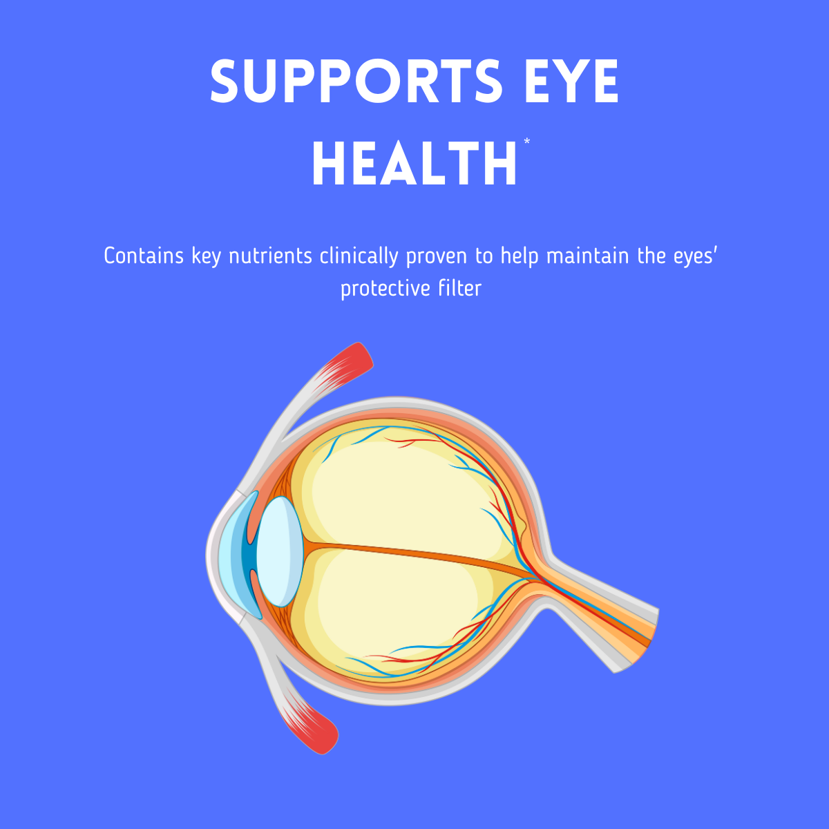[Bundle of 3] Herb Terra Eye Health+ Supplement with Lutein, Zeaxanthin, Zinc & Vitamins A C E (3 x 120 capsules)