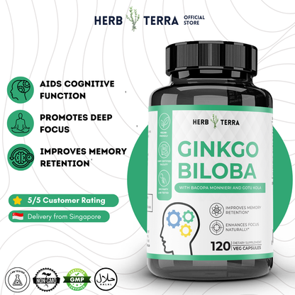 Brain Boost Bundle Set