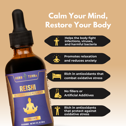 Herb Terra Reishi on beige background.
