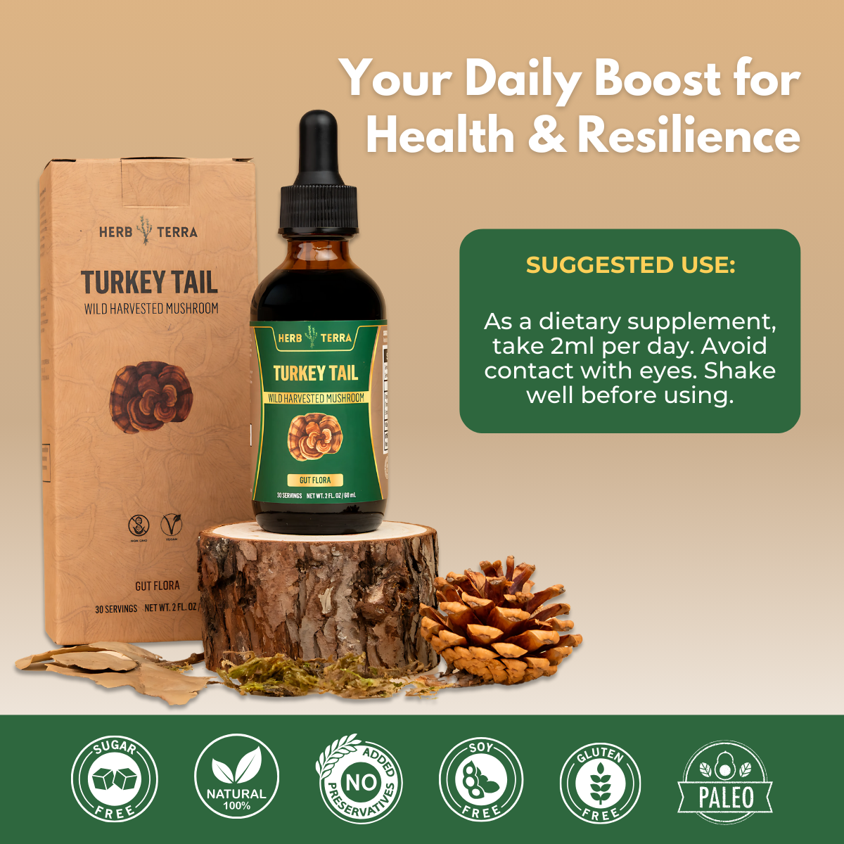 Turkey Tail on wooden surface.
