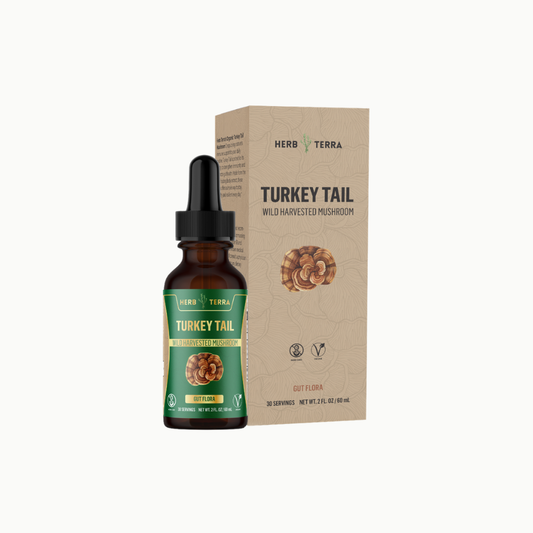 Herb Terra Turkey Tail mushroom tincture bottle and packaging on a white background
