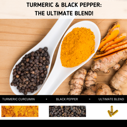 [Bundle of 3] Herb Terra Turmeric Curcumin  - Joint, Inflammation & Antioxidant Support (3 x 120 capsules)