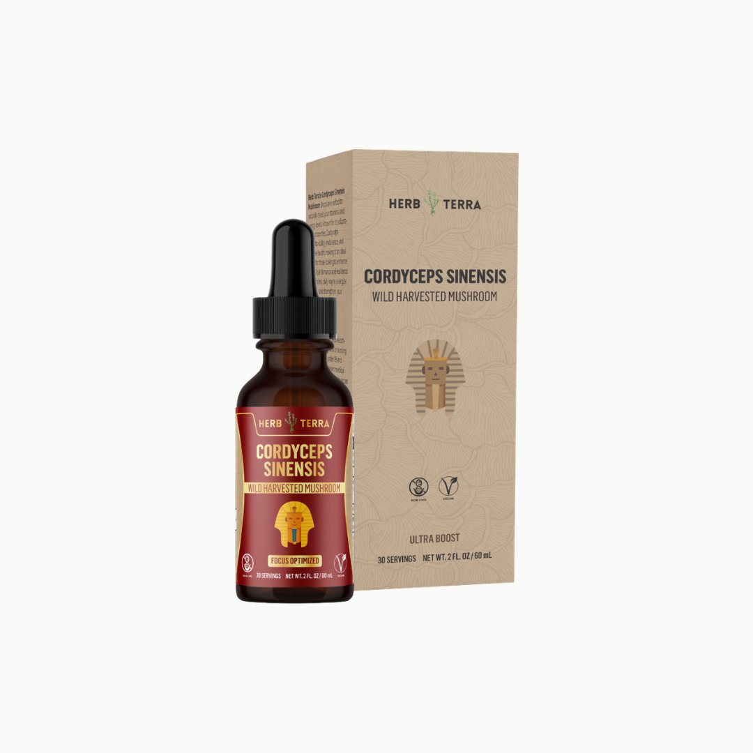 Herb Terra Cordyceps Sinensis bottle and box on a white background