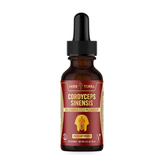 Herb Terra Cordyceps Sinensis Mushroom Drops 60 mL: dropper bottle front on white background