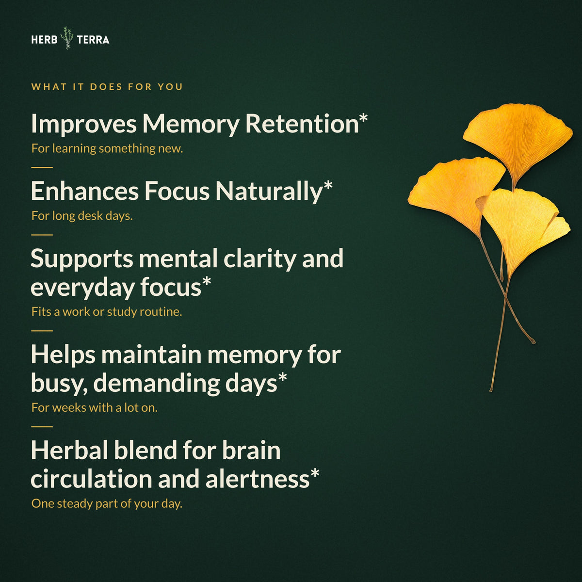 Herb Terra Ginkgo Biloba with Bacopa, 120 Veg Capsules: what it does panel with yellow ginkgo leaves on dark green background