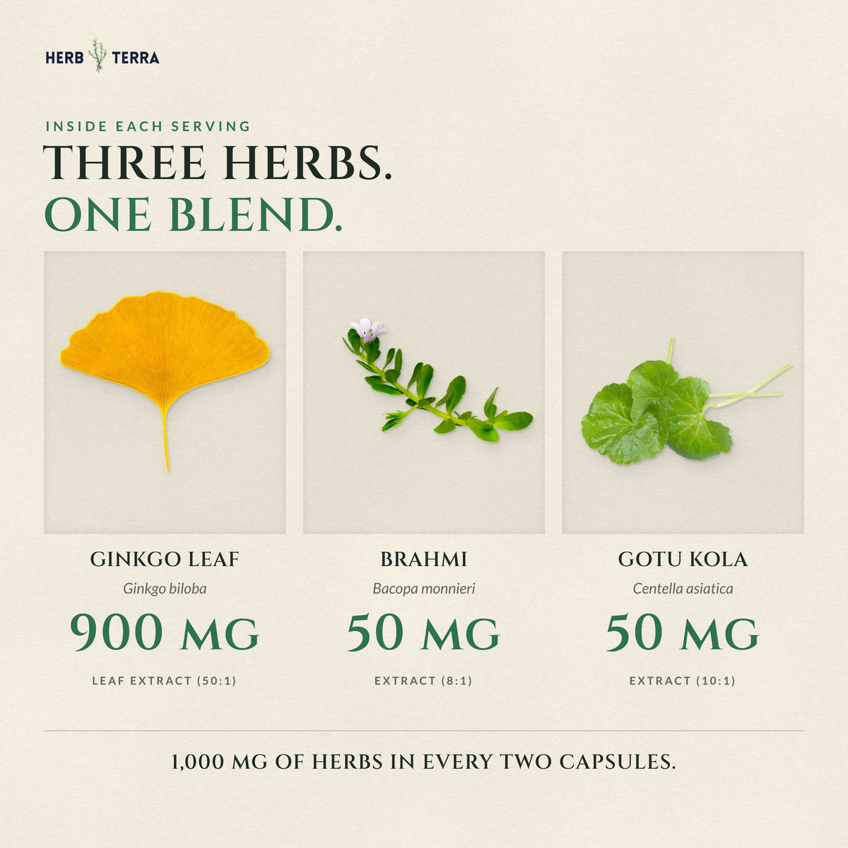 Herb Terra Ginkgo Biloba with Bacopa, 120 Veg Capsules: ginkgo leaf, brahmi and gotu kola amounts in each serving