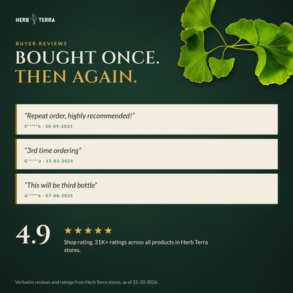 Herb Terra Ginkgo Biloba with Bacopa, 120 Veg Capsules: buyer reviews panel with green ginkgo leaves
